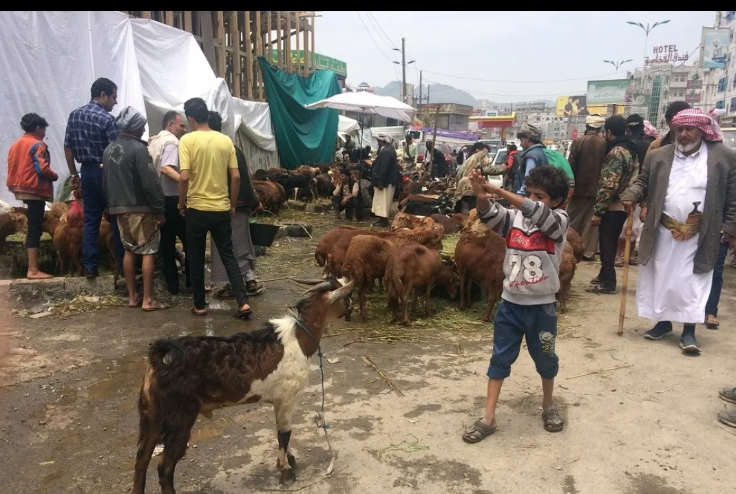 بلا أضاحي وبدموع العجز.. اليمنيون يستقبلون العيد على عتبات الفقر والفاقة