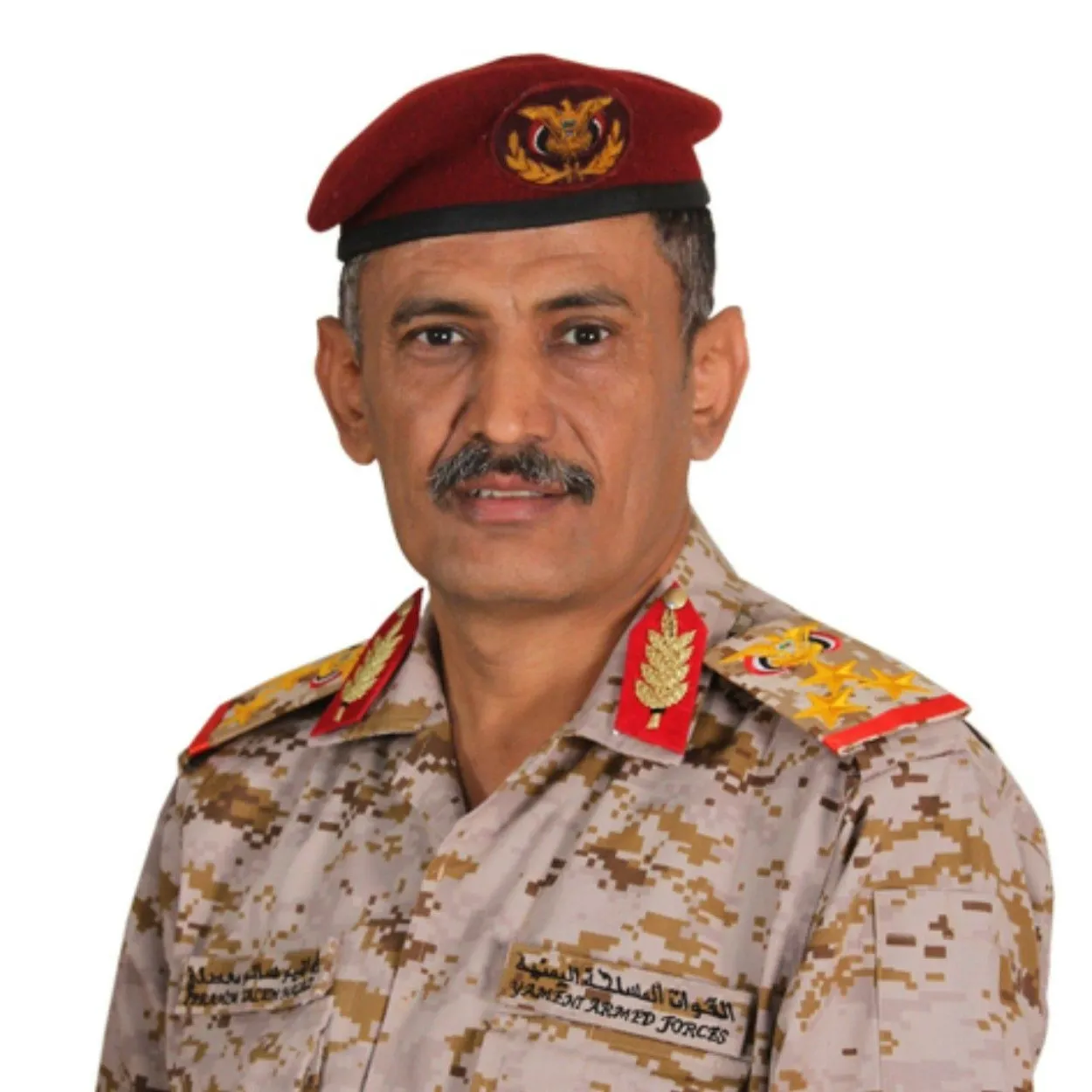 قائد محور الحديدة ينتقد "خصخصة" سلطات "طارق صالح" للكهرباء الحكومية ويؤكد: لن نستغني عن مؤسسات الدولة