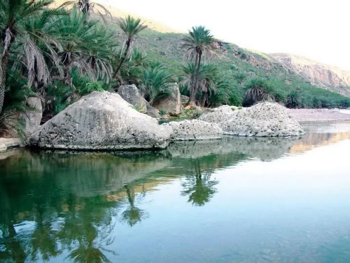 "الهدهد" تعيد نشره.. "الوطن السعودية" تحذف تقريراً عن تفكيك شبكة تجسس إسرائيلية إماراتية في سقطرى 